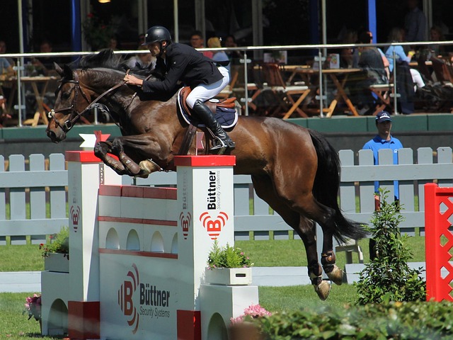 隊內的信任 隊內的信任