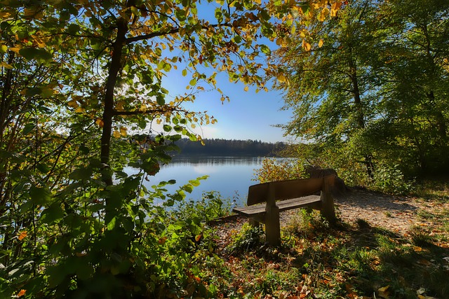 湖人奇才詹姆斯、布朗尼.