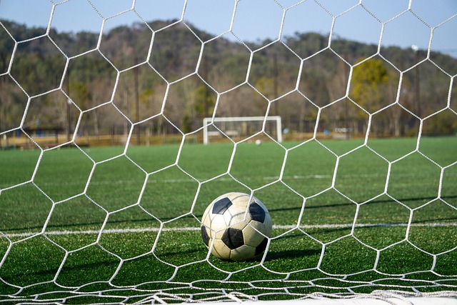 险胜费耶諾 险胜费耶諾