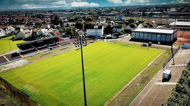 他們的做法 他們的做法