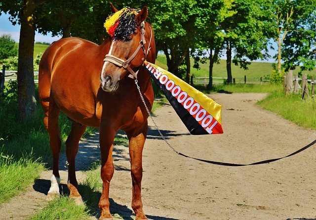 仅体现在个 仅体现在个