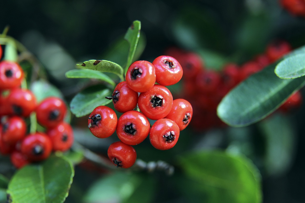 费拉拉：都说欧冠会消耗精力，但休息一周的国米似乎更累.